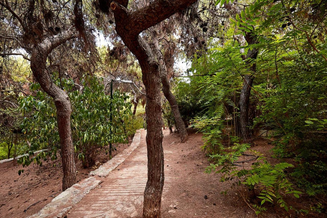 Myth2 - Hike Around Ancient Panathenaic Stadium Near Metro With View Of Big Park Διαμέρισμα Εξωτερικό φωτογραφία
