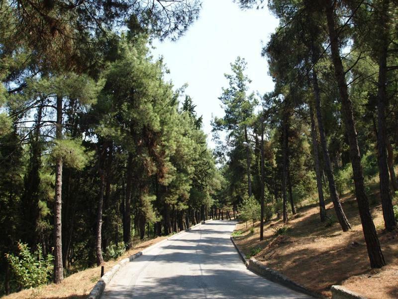 Myth2 - Hike Around Ancient Panathenaic Stadium Near Metro With View Of Big Park Διαμέρισμα Εξωτερικό φωτογραφία